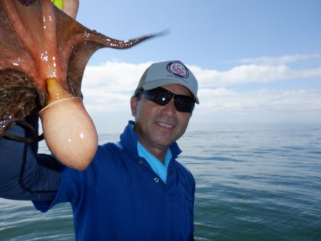 かもめ釣船 釣果