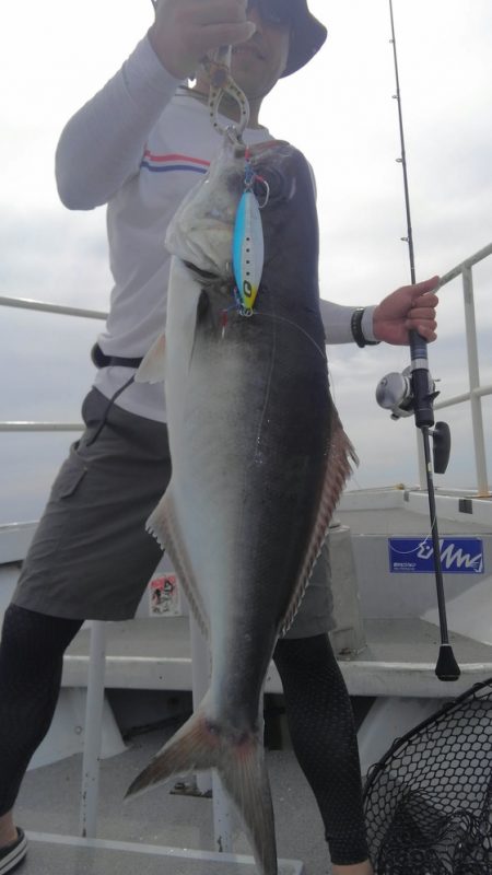 遊漁船 新鋭丸 釣果