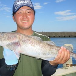 大進丸(新潟) 釣果