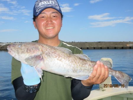 大進丸(新潟) 釣果
