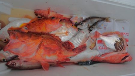 遊漁船 新鋭丸 釣果