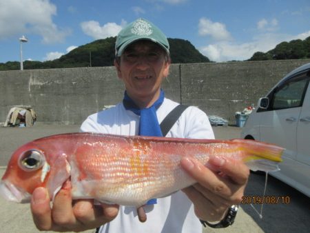 大進丸（新潟） 釣果