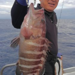 遊漁船 新鋭丸 釣果