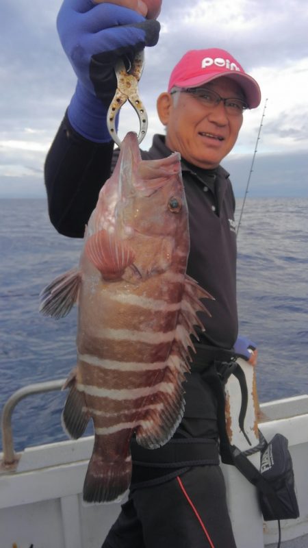 遊漁船 新鋭丸 釣果