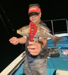 愛海丸 釣果