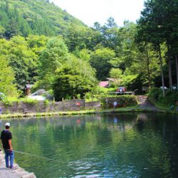小菅トラウトガーデン 釣果