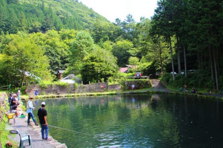 小菅トラウトガーデン 釣果