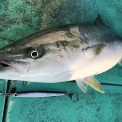 広進丸 釣果