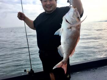 シーマジカル 釣果