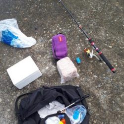 アイゴの35オーバー！！！！！！！