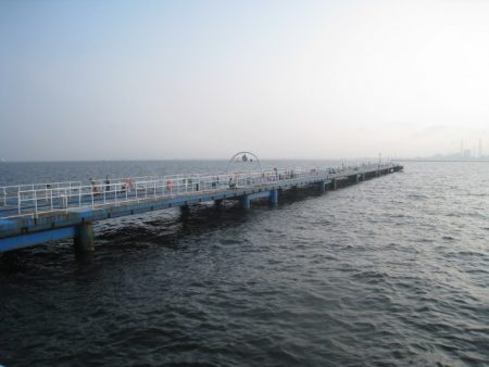 オリジナルメーカー海づり公園(市原市海づり施設) 釣果