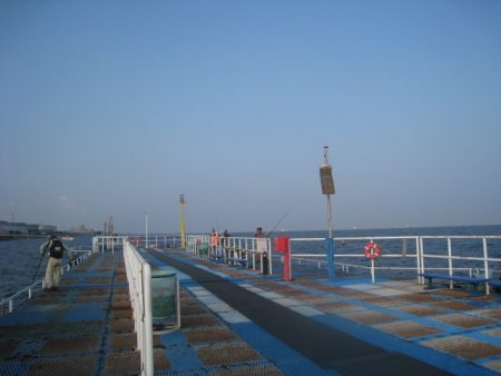 オリジナルメーカー海づり公園(市原市海づり施設) 釣果