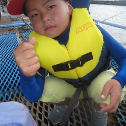 オリジナルメーカー海づり公園(市原市海づり施設) 釣果