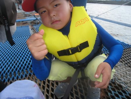 オリジナルメーカー海づり公園(市原市海づり施設) 釣果