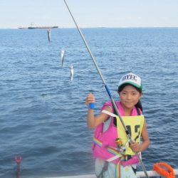 オリジナルメーカー海づり公園(市原市海づり施設) 釣果