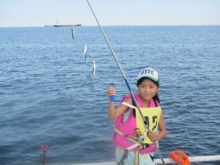 オリジナルメーカー海づり公園(市原市海づり施設) 釣果