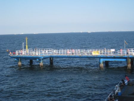 オリジナルメーカー海づり公園(市原市海づり施設) 釣果