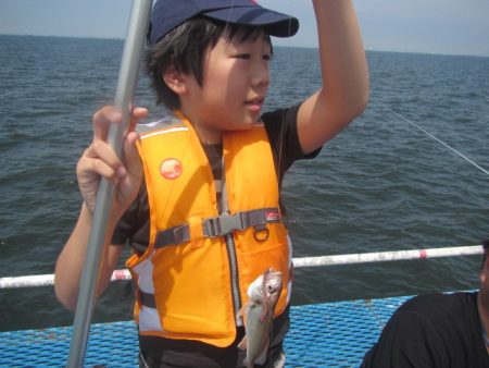 オリジナルメーカー海づり公園(市原市海づり施設) 釣果