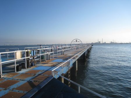 オリジナルメーカー海づり公園(市原市海づり施設) 釣果