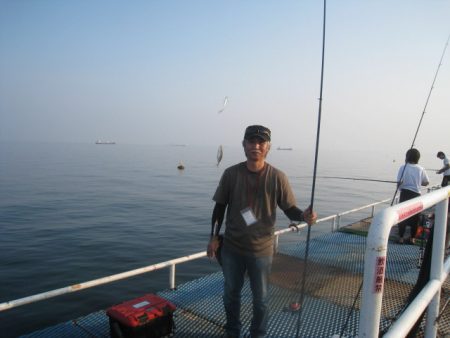 オリジナルメーカー海づり公園(市原市海づり施設) 釣果