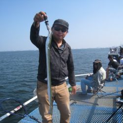 オリジナルメーカー海づり公園(市原市海づり施設) 釣果