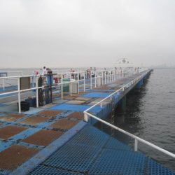 オリジナルメーカー海づり公園(市原市海づり施設) 釣果