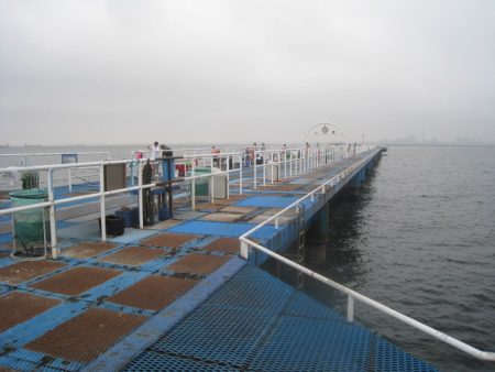 オリジナルメーカー海づり公園(市原市海づり施設) 釣果
