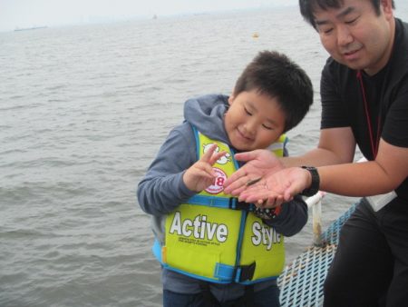 オリジナルメーカー海づり公園(市原市海づり施設) 釣果