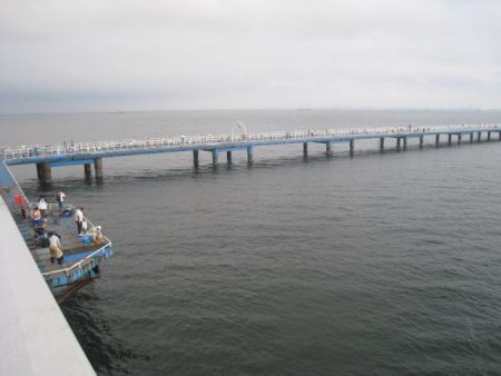 オリジナルメーカー海づり公園(市原市海づり施設) 釣果