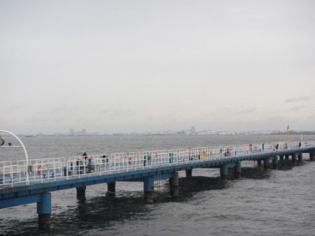 オリジナルメーカー海づり公園(市原市海づり施設) 釣果