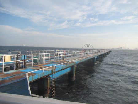 オリジナルメーカー海づり公園(市原市海づり施設) 釣果