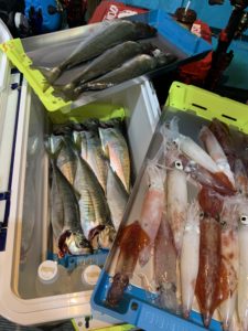 愛海丸 釣果