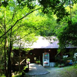 小菅トラウトガーデン 釣果