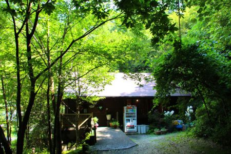 小菅トラウトガーデン 釣果