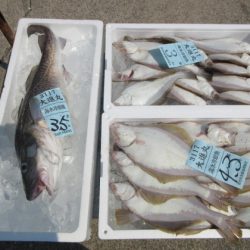 大進丸（新潟） 釣果