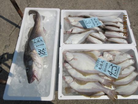 大進丸（新潟） 釣果