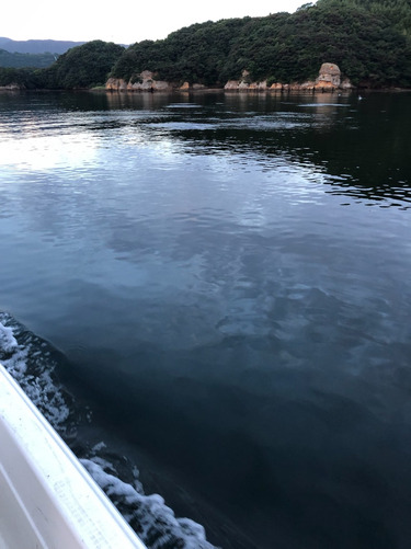 「LaGooN」蒼陽丸 日和号 釣果