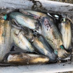 あみや渡船 釣果