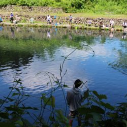 小菅トラウトガーデン 釣果