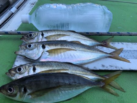 深川 吉野屋 釣果