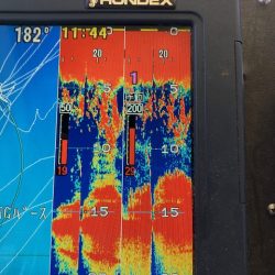 深川 吉野屋 釣果