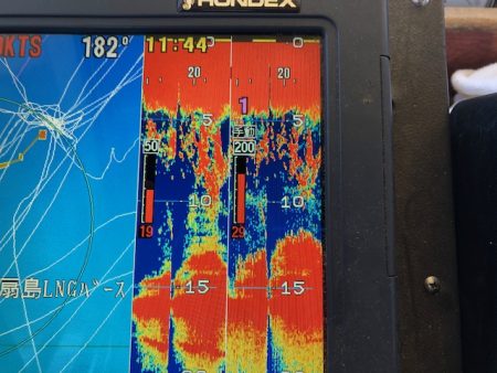 深川 吉野屋 釣果