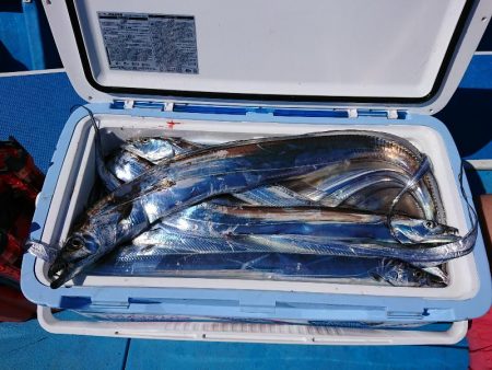 深川 吉野屋 釣果