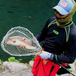 小菅トラウトガーデン 釣果