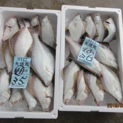 大進丸(新潟) 釣果