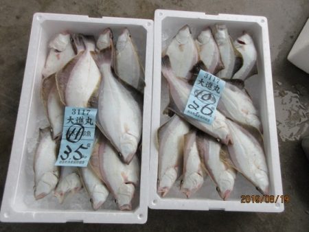 大進丸(新潟) 釣果