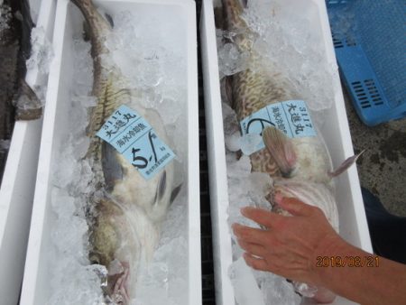 大進丸(新潟) 釣果