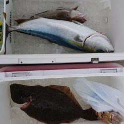 気仙沼　つり丸 釣果