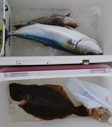 気仙沼　つり丸 釣果