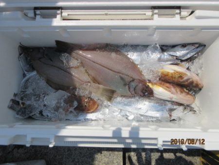 大進丸（新潟） 釣果